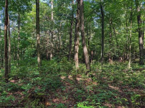 0 Whitewater Parkway Bruceton Mills WV 26525