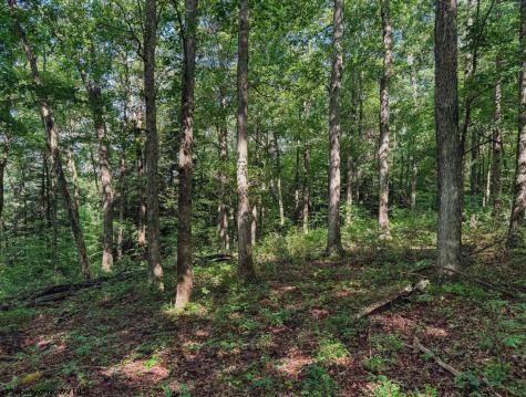 0 Whitewater Parkway Bruceton Mills WV 26525