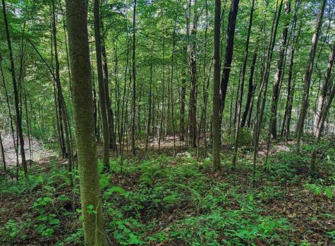 0 Whitewater Parkway Bruceton Mills WV 26525