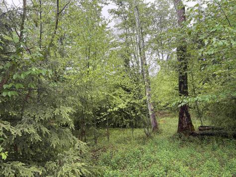 76 Bassilla Way Davis WV 26260