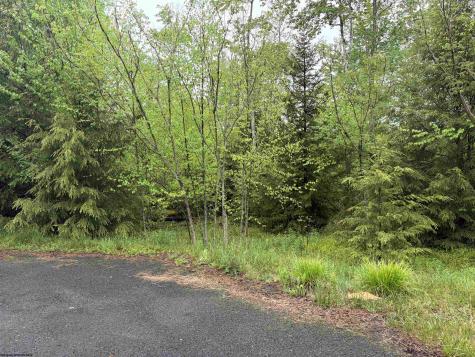 76 Bassilla Way Davis WV 26260