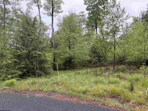 76 Bassilla Way Davis WV 26260