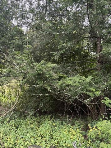 0 Crystal Springs Road Elkins WV 26241