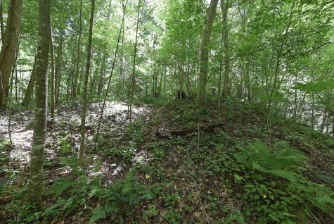 1 Four States Road Worthington WV 26572