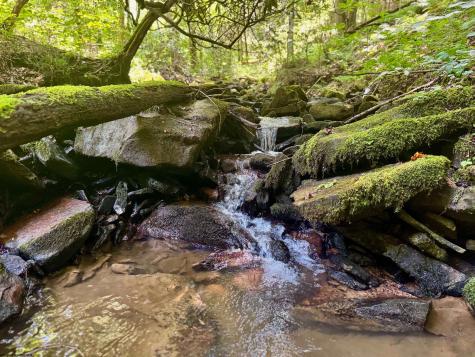 0 Chidester Road Terra Alta WV 26764