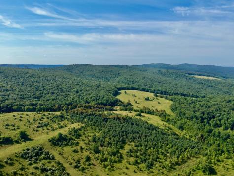 0 Chidester Road Terra Alta WV 26764