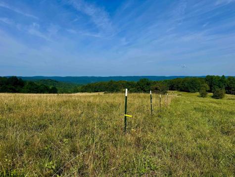 0 Chidester Road Terra Alta WV 26764