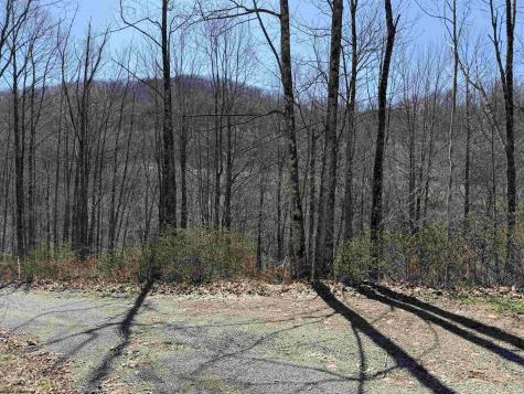 145 Yellow House Lane Elkins WV 26241