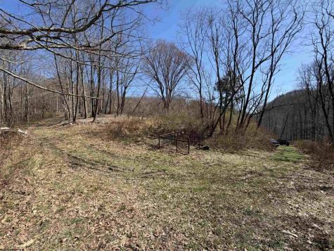 145 Yellow House Lane Elkins WV 26241
