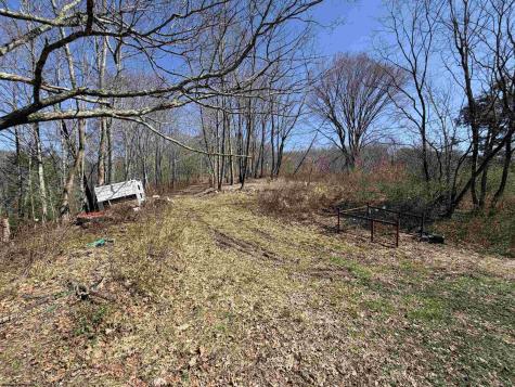 145 Yellow House Lane Elkins WV 26241