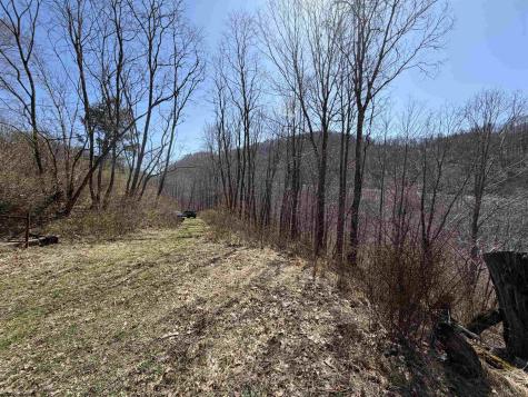 145 Yellow House Lane Elkins WV 26241