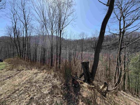 145 Yellow House Lane Elkins WV 26241