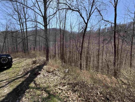 145 Yellow House Lane Elkins WV 26241