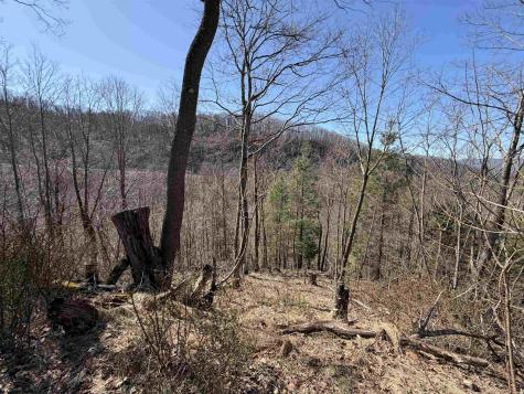 145 Yellow House Lane Elkins WV 26241