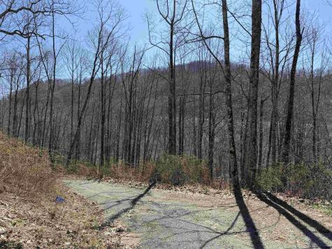 145 Yellow House Lane Elkins WV 26241