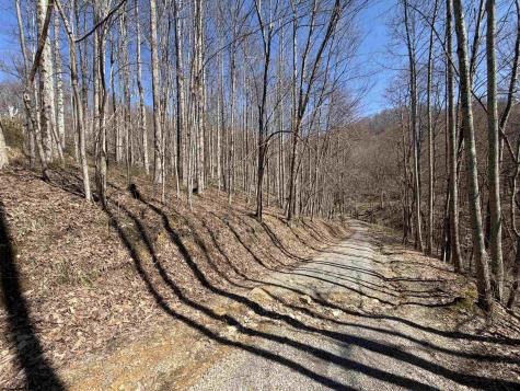 145 Yellow House Lane Elkins WV 26241
