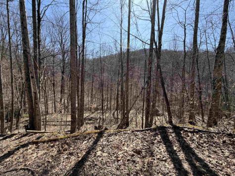 145 Yellow House Lane Elkins WV 26241