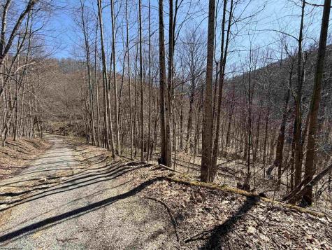 145 Yellow House Lane Elkins WV 26241