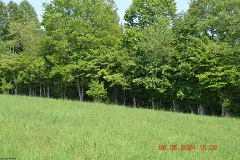 000 Hawk's View Lane Napier WV 26631