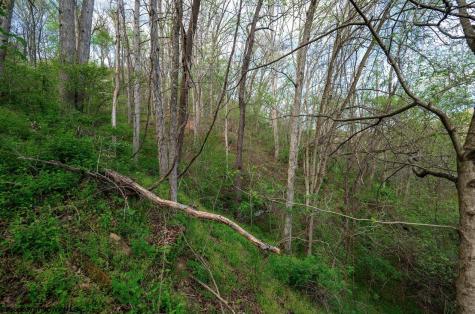 1 Shortline Highway Jacksonburg WV 26377