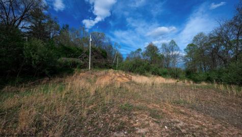 1 Shortline Highway Jacksonburg WV 26377