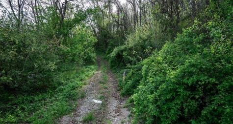 1 Shortline Highway Jacksonburg WV 26377