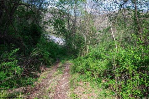 1 Shortline Highway Jacksonburg WV 26377