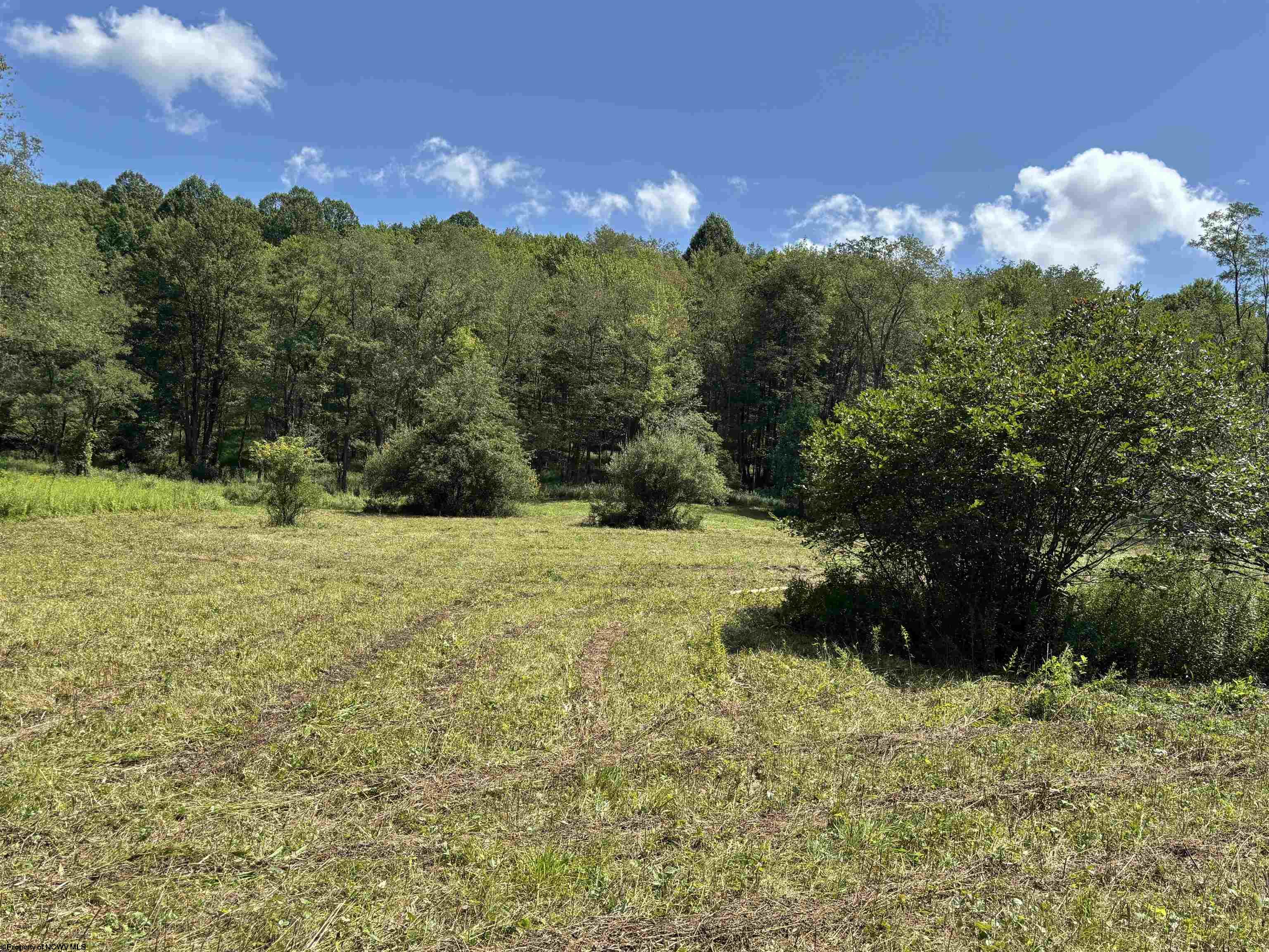 0 Hunters Fork Road Belington WV 26250