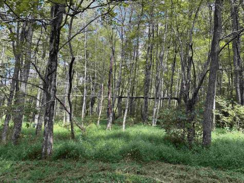 0 Hunters Fork Road Belington WV 26250