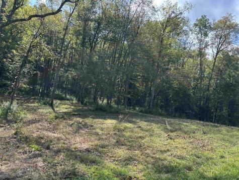 0 Hunters Fork Road Belington WV 26250