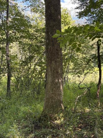 0 Hunters Fork Road Belington WV 26250