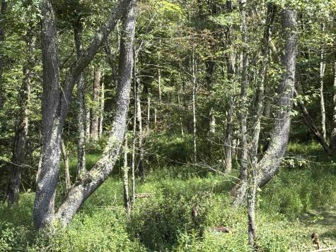 0 Hunters Fork Road Belington WV 26250