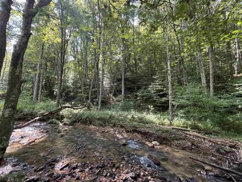 0 Hunters Fork Road Belington WV 26250
