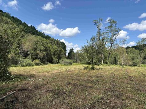 0 Hunters Fork Road Belington WV 26250
