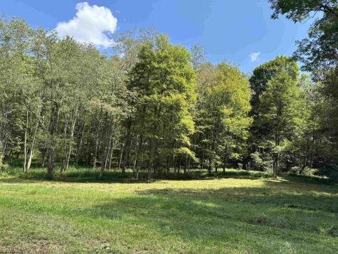 0 Hunters Fork Road Belington WV 26250