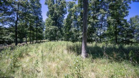 290 Long Fork Road Flatwoods WV 26623