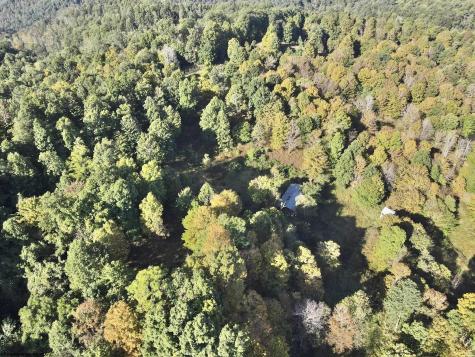 290 Long Fork Road Flatwoods WV 26623
