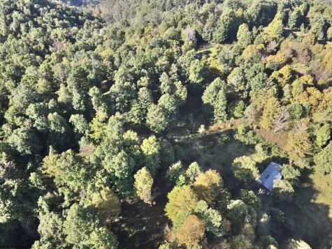 290 Long Fork Road Flatwoods WV 26623