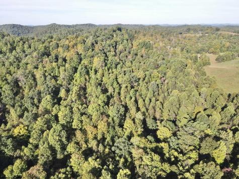 290 Long Fork Road Flatwoods WV 26623