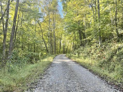 290 Long Fork Road Flatwoods WV 26623