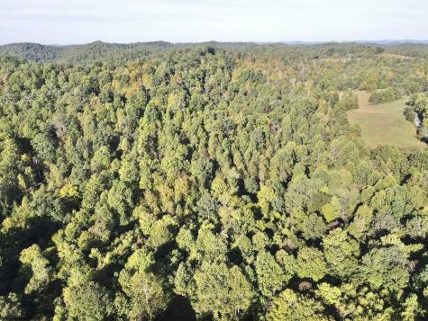 290 Long Fork Road Flatwoods WV 26623