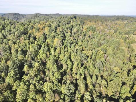 290 Long Fork Road Flatwoods WV 26623