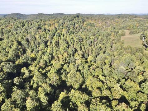 290 Long Fork Road Flatwoods WV 26623