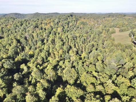 290 Long Fork Road Flatwoods WV 26623