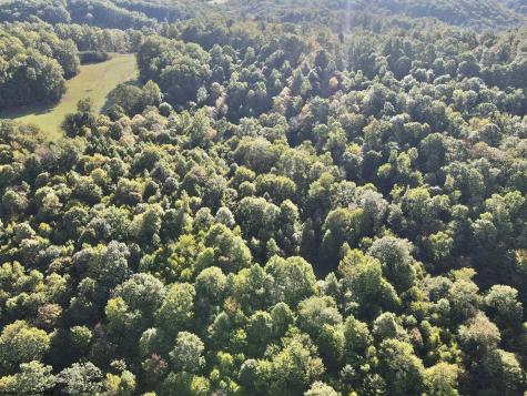 290 Long Fork Road Flatwoods WV 26623
