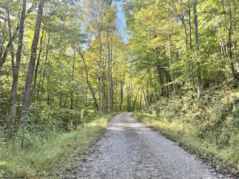 290 Long Fork Road Flatwoods WV 26623