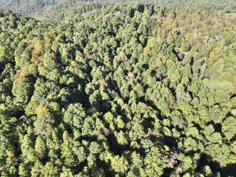 290 Long Fork Road Flatwoods WV 26623
