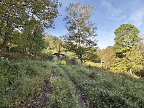 290 Long Fork Road Flatwoods WV 26623