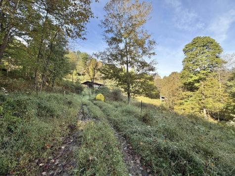 290 Long Fork Road Flatwoods WV 26623
