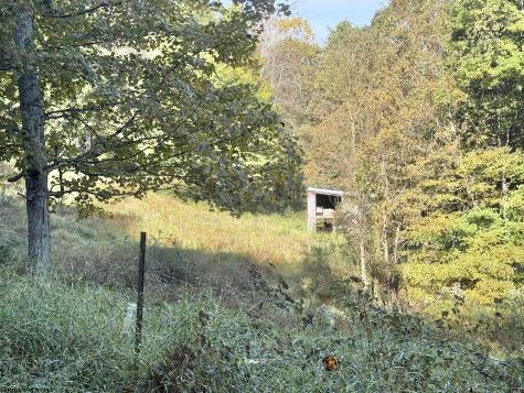 290 Long Fork Road Flatwoods WV 26623